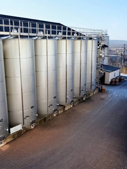 Metal wine storage tanks with dwelling houses on the background in a winery. Wide shot